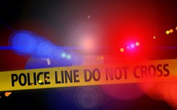 Félpályán megindult a forgalom az M15-ös főúton