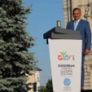 2017.05.24.EYOF Lángfogadó Ünnepség Győr Fotók:árpika 