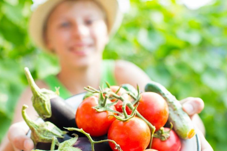 Egyre népszerűbb az iskolakert művelése a diákok körében