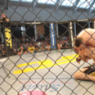 2015.05.09. Profi MMA Gála fotók:árpika