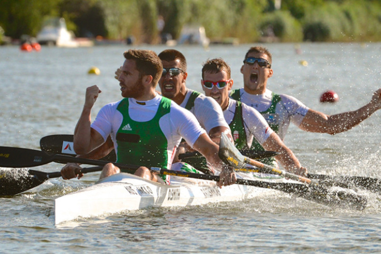 Kajak-kenu ob - Ismét a Hufnágel vezette négyes nyerte az olimpiai válogatót