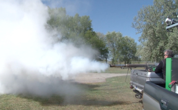 Folyamatosan irtják a szúnyogokat Győrben