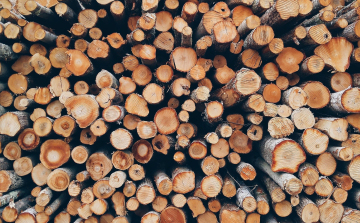 Tűzifát igényelhetnek a rászorulók Győrben