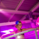 Mundo - Made in Ibiza Sailor Show 2014.08.09. (szombat)