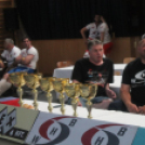 2018.04.28. WHB Amatőr MMA magyar kupa és Bothúzó bajnokság Fotók:árpika