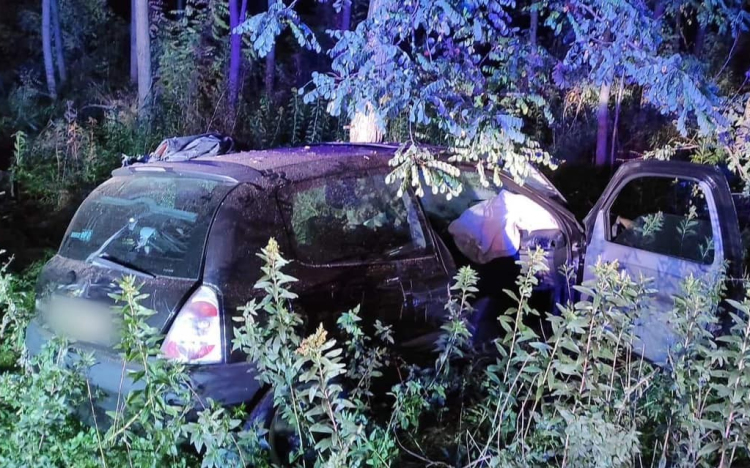 Jogosítvány nélkül vezetett