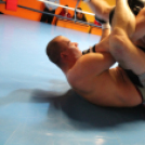 2013.02.16.Szombat Profi MMA És Box Mérkőzés Fotók:árpika