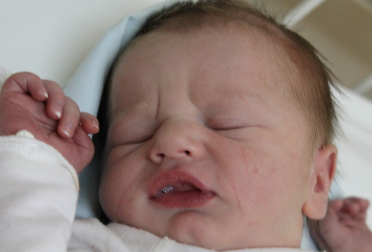 Gergely Bertalan László