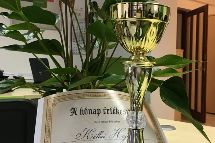 A hónap értékesítője Kállai Hajnalka