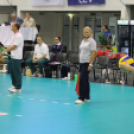 2017.07.25. EYOF 2017 Győr 2.nap Fotók:árpika 