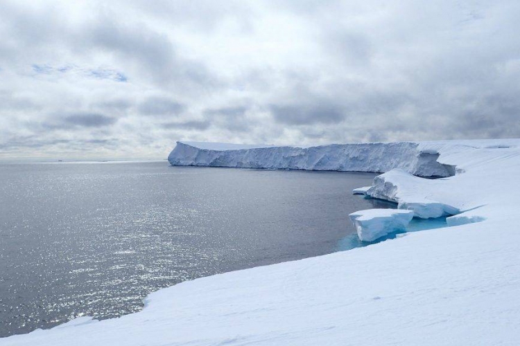 Üvegház épül az Antarktiszon 