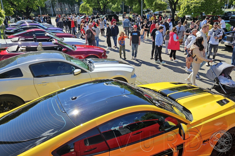 Gyönyörű autókon legeltetné a szemét? Az ETO parknál megteheti! – Galériás cikk!