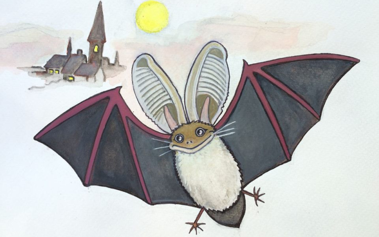  Nemzetközi denevérek éjszakája – BatNight a fertődi Esterházy-kastélyban