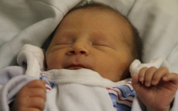 Csigi Balázs István 