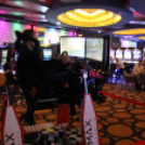 2016.11.19. Szombat Casino Win Győr Férfinap Fotók.árpika