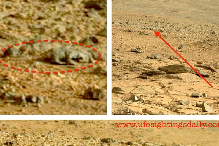 Gyíkot találtak egy Marsról készült felvételen 