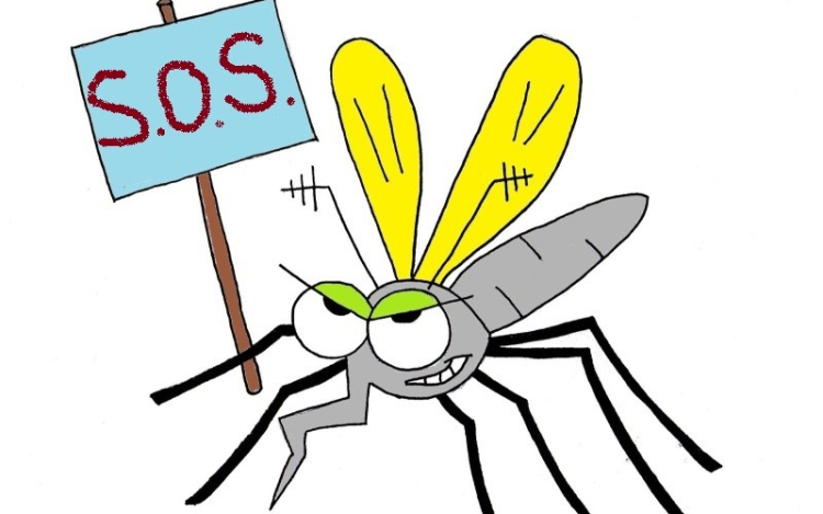 Estétől retteghetnek a vérszívók