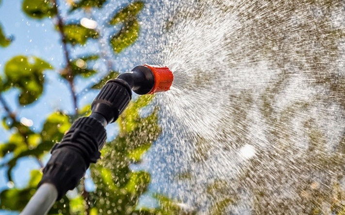 Ismét felveszik a harcot Győrben a kártevők ellen