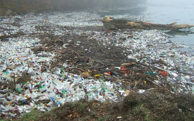 Mikroműanyagok élelmiszereinkben?