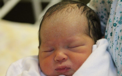 Horváth-Pataki Tamara 