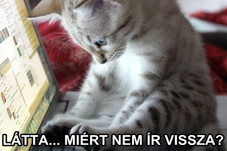 Ami minden Facebookozó fejében megfordul