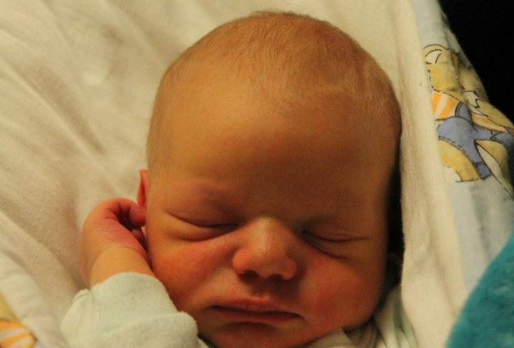 Rozmán Máté Róbert 