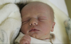 Fekete Boldizsár Áron 