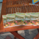 2013.06.21 Péntek SzFeszt.2.nap Fotók:árpika