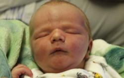 Bendes Kristóf Zoltán 