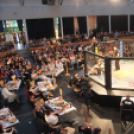 2015.05.09. Profi MMA Gála fotók:árpika