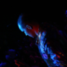 Club Vertigo - Koktélok éjszakája 2013.01.05. (szombat) (2) (Fotók: Vertigo)