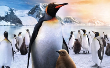 Február 21-én kerül a mozikba A Pingvinkirály