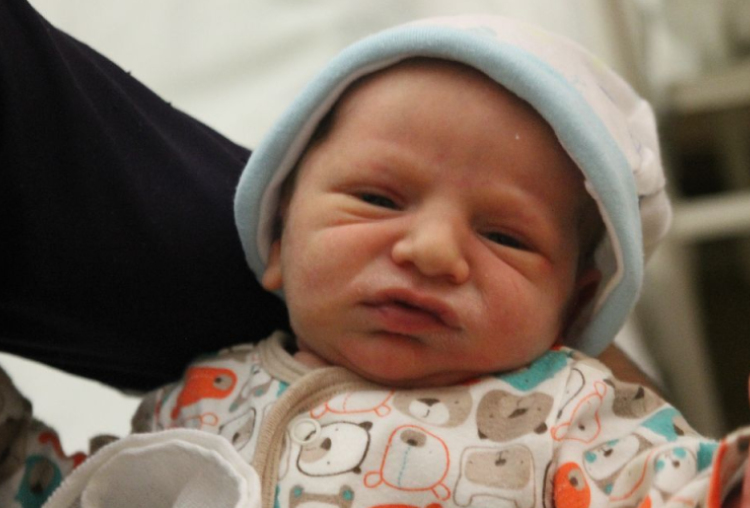 Pfeifer Márk Arnold 