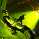 Club Mundo -  Sterbinszky 2013.08.24. (szombat)