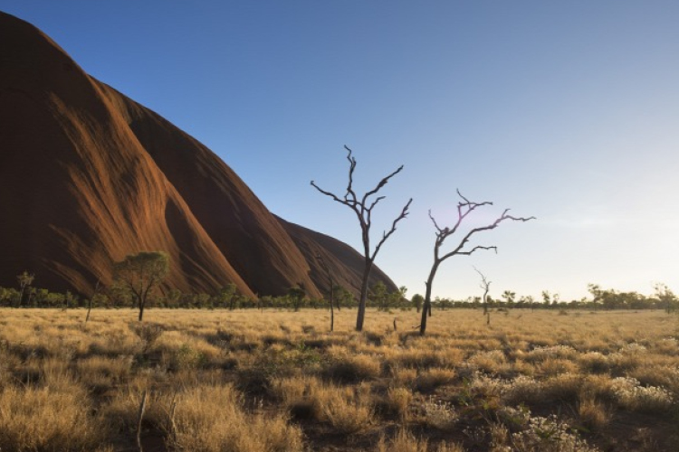 Szomjan halt egy fiatal család Ausztráliában