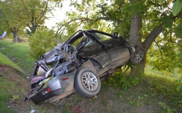 A sofőr és utasa is életveszélyesen megsérült