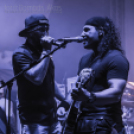 VOLT Fesztivál - Ladánybene - Kowalsky meg a Vega 