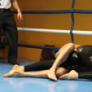 2013.02.16.Szombat Profi MMA És Box Mérkőzés Fotók:árpika
