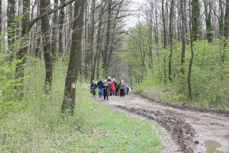 Két új túraútvonal Pannonhalma környékén