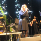 2017.10.28. Charlie 70. Születésnapi koncert Fotók:árpika 