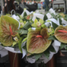 2018.05.14. Audi ETO KC ünneplése Fotók:árpika 