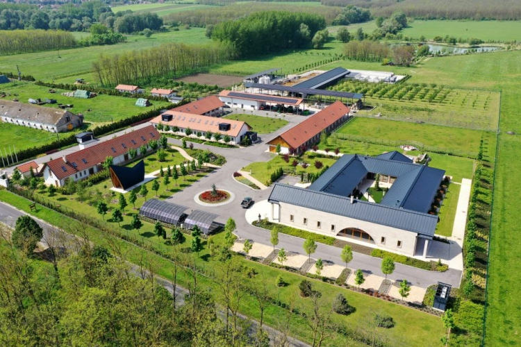 Egy világszínvonalú birtok Tényő szívében