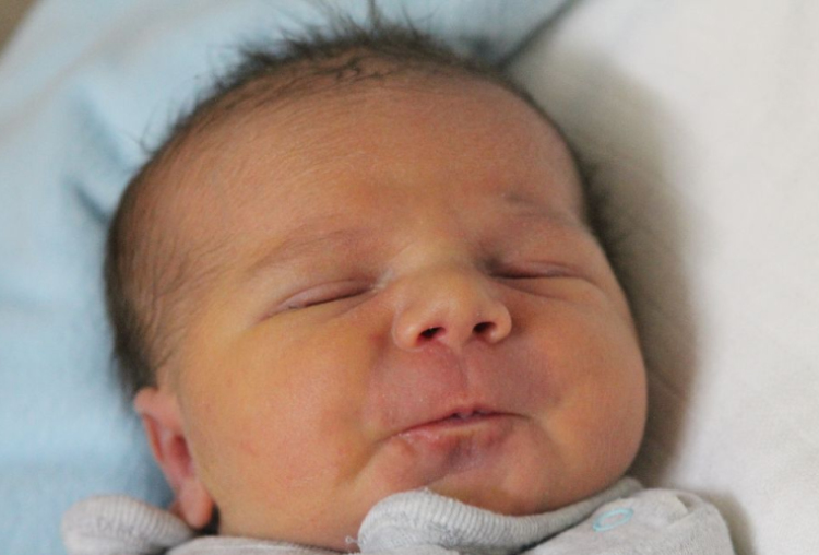 Steczina Máté Tamás 