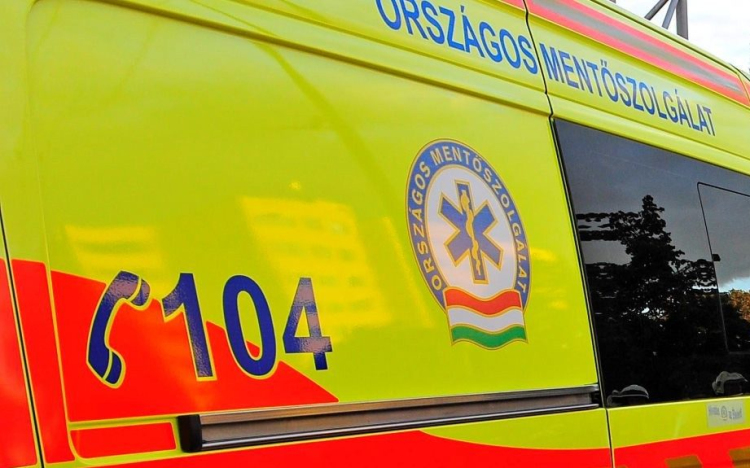 Életmentés: Séta közben összeesett egy nyugdíjas a Margit- szigeten