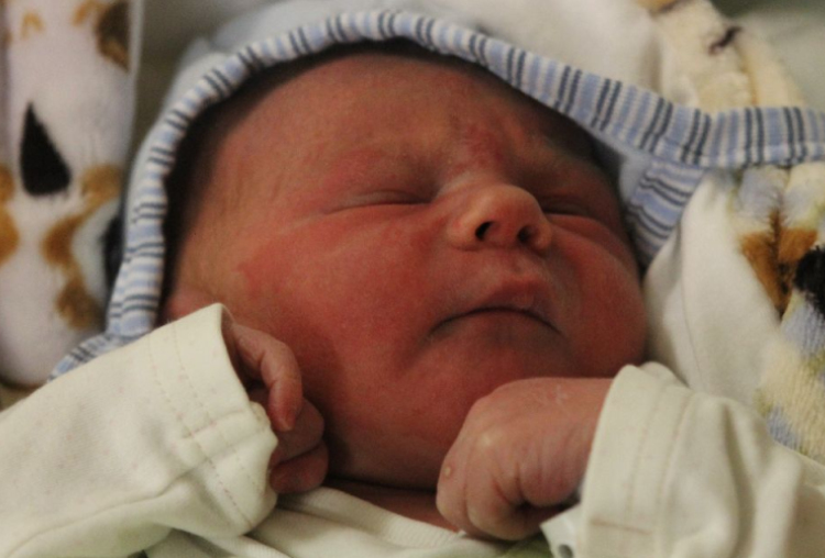 Ditrich Lénárd Lukács 