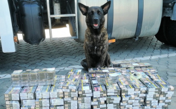 Django mindent kiszimatolt