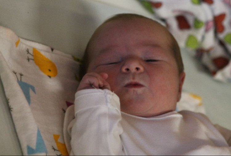 Kányási Apollónia 