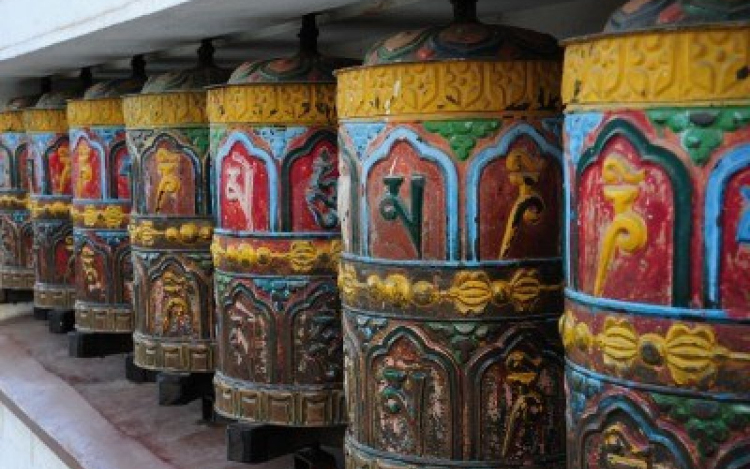 Itthon épül Európa legnagyobb imamalma