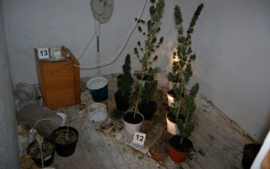 Kábítószergyanús anyagokat foglaltak le Dörben