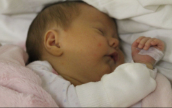 Bősze Vivien Flóra 